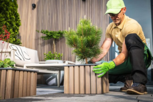 Outdoor Space